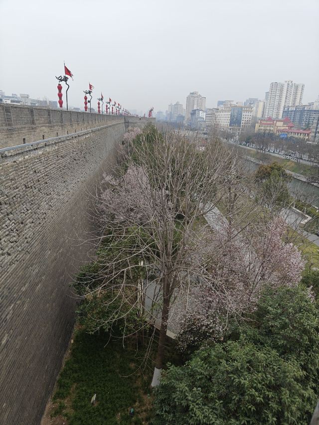 西安城墙旅行图片 1
