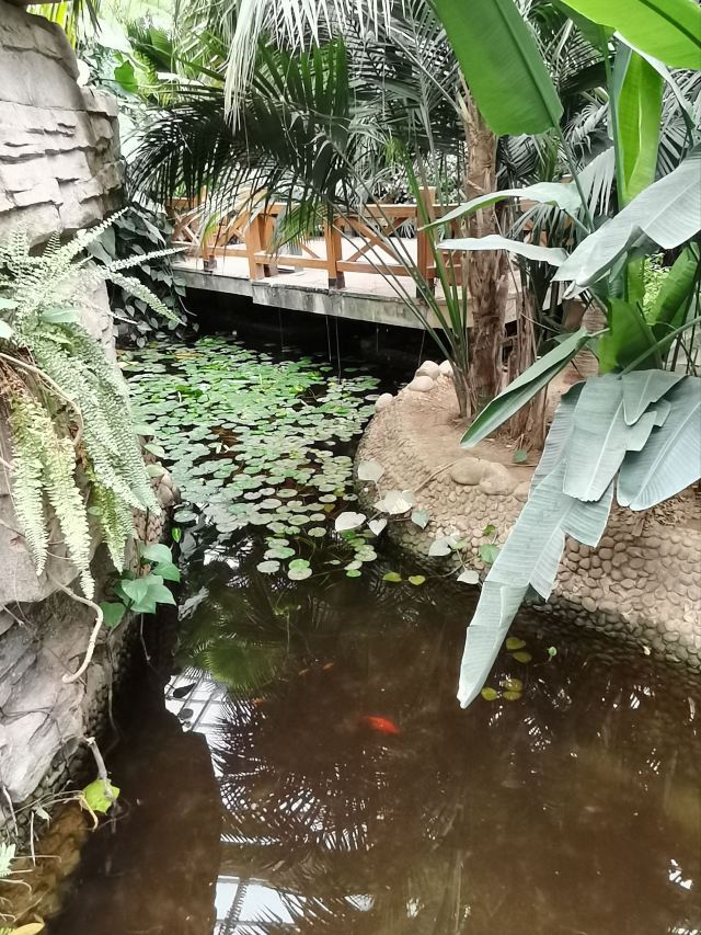 石家庄植物园旅行图片 9