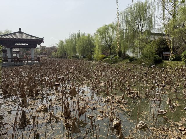 张骞墓景区旅行图片 4