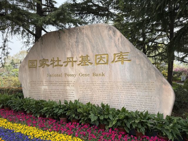 国家牡丹园旅行图片 3