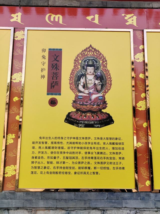 成山头国家重点风景名胜区旅行图片 3