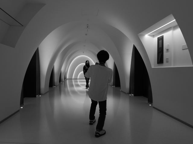 新天地绿地旅行图片 2