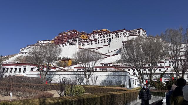 布达拉宫旅行图片 1