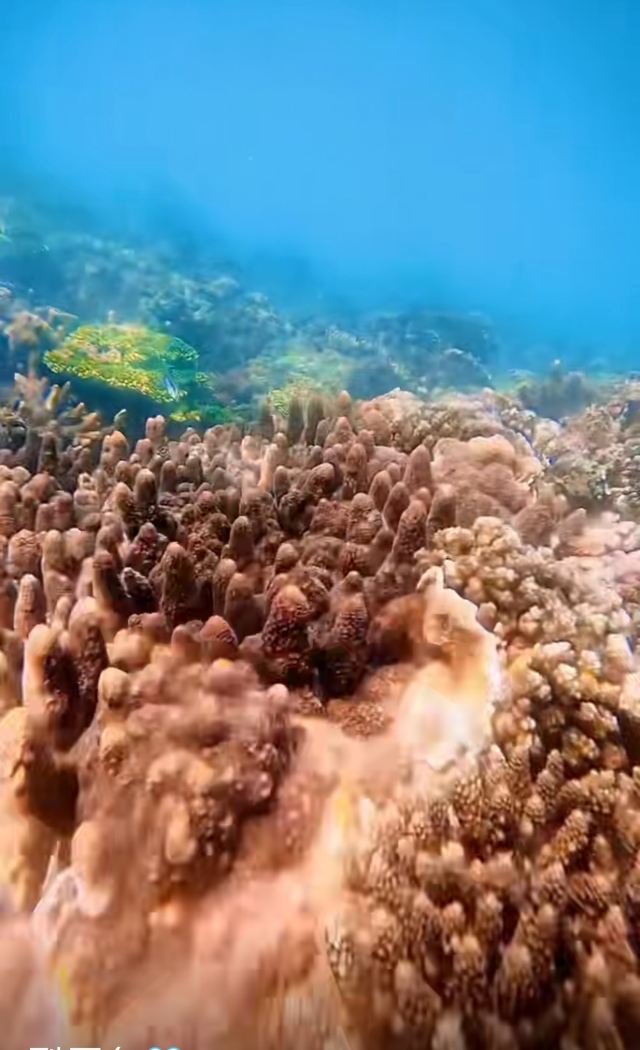 石梅湾加井岛旅行图片 1