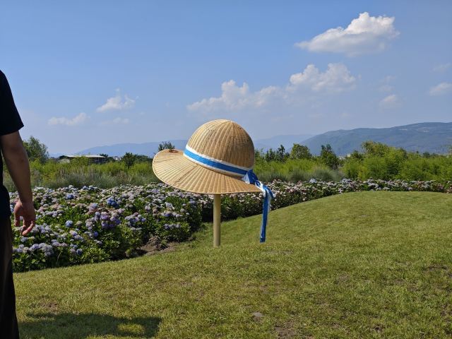 大理水花庄园旅行图片 3