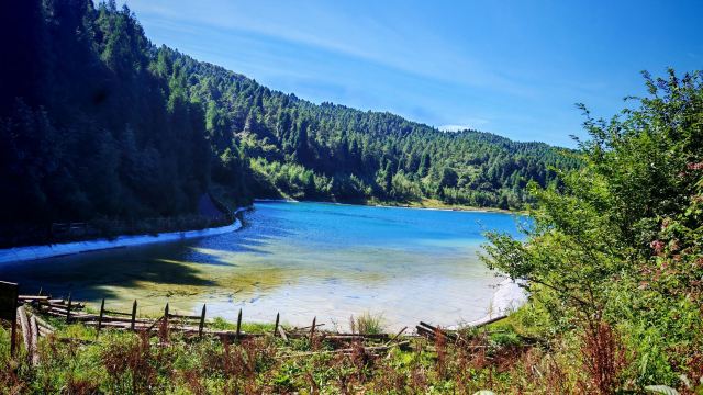 武陵山国家森林公园旅行图片 1
