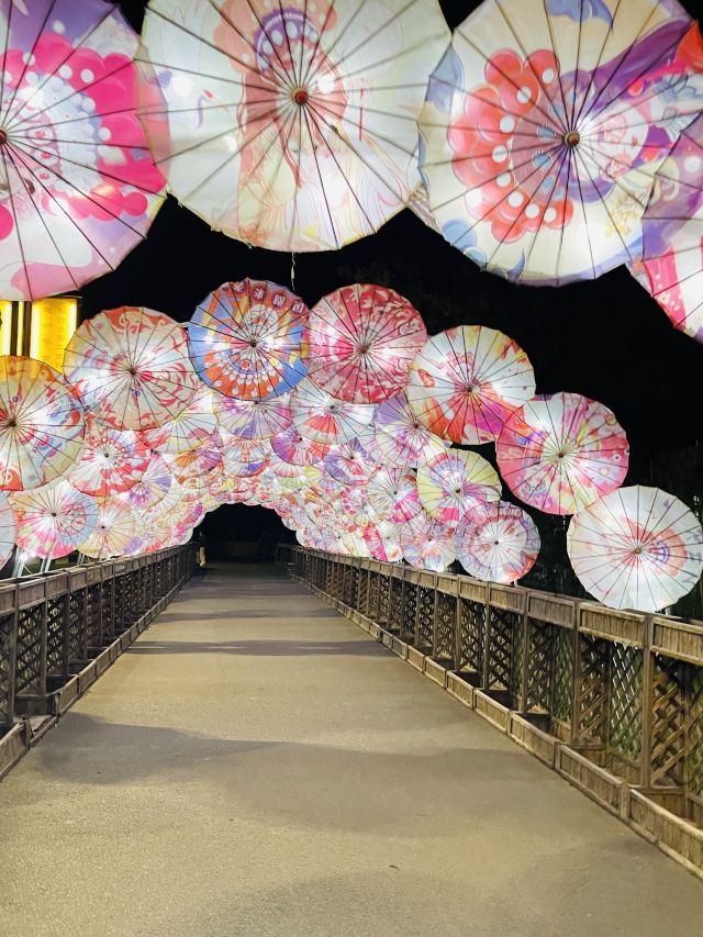 赵州桥景区旅行图片 3