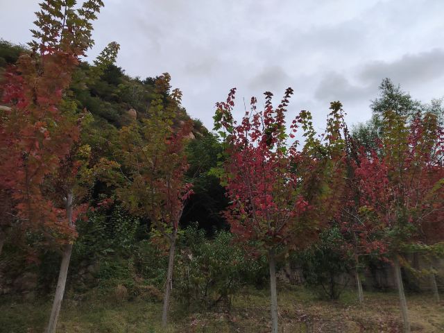 冰塘峪旅行图片 7