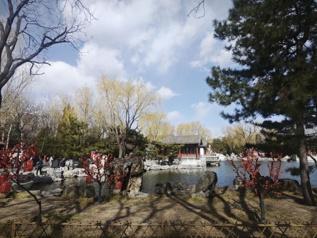 大观园旅行图片 3