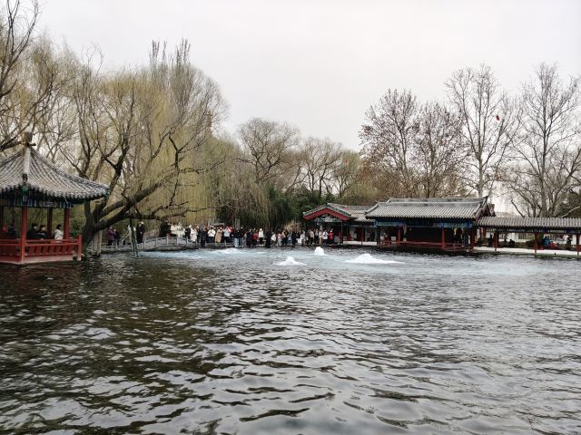 清照泉城·明水古城国际泉水旅游度假区旅行图片 2