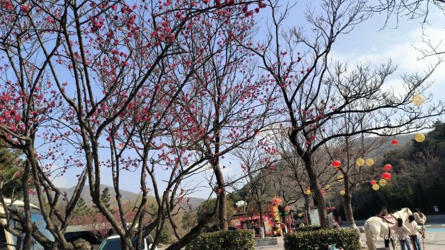 花果山风景区旅行图片 3