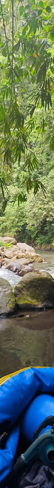 巴厘岛-YoYo_6F8E2C1T