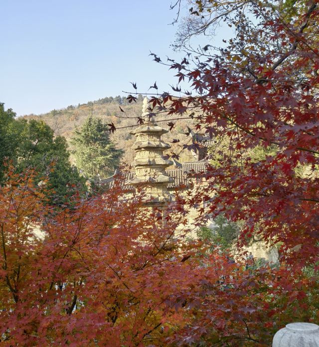 栖霞山风景名胜区旅行图片 2
