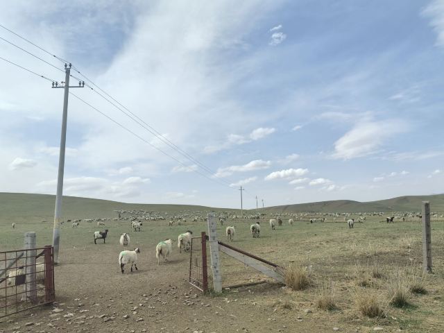 山丹皇家马场景区(暂停开放)旅行图片 1