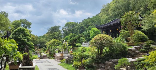 亭林园旅行图片 3