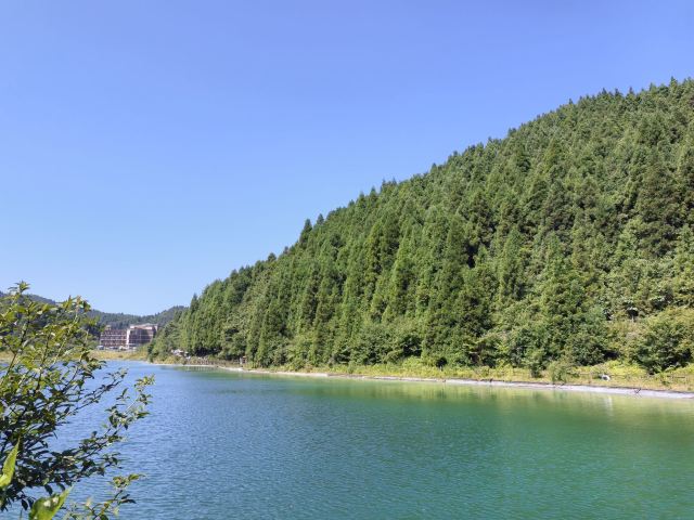 武陵山国家森林公园旅行图片 4