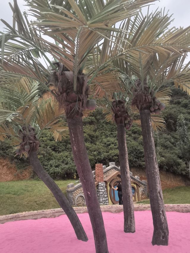 采薇庄园旅行图片 2