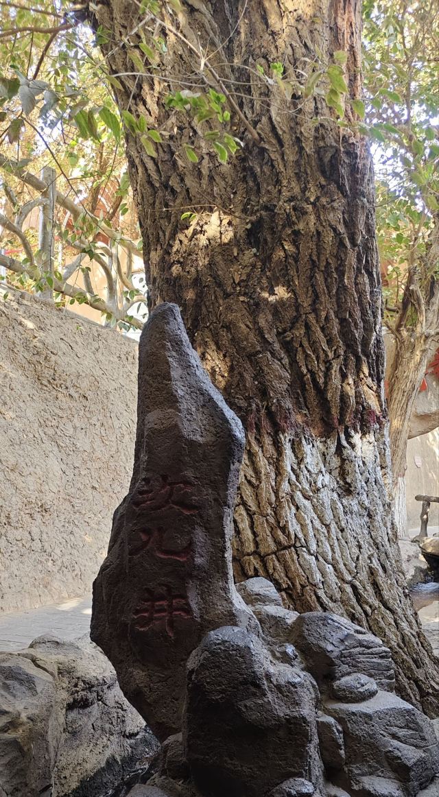 吐鲁番坎儿井民俗园旅行图片 1