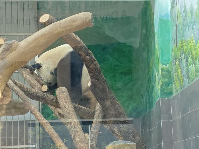 温州动物园旅行图片 6
