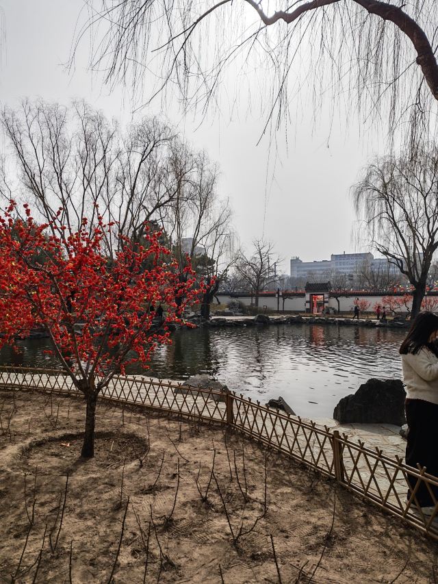 大观园旅行图片 2