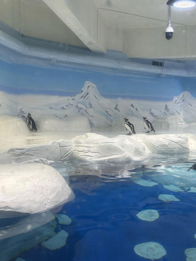 上海海洋水族馆旅行图片 1