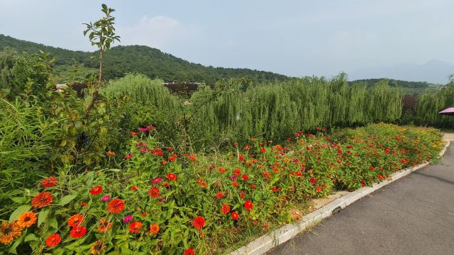 左右山谷亲子度假区(暂停开放)旅行图片 3