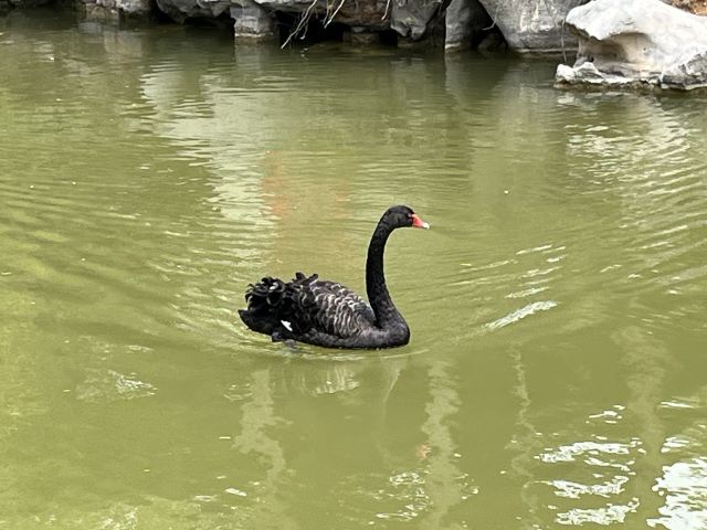 宛园旅行图片 1