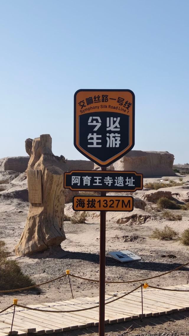 锁阳城遗址旅行图片 4