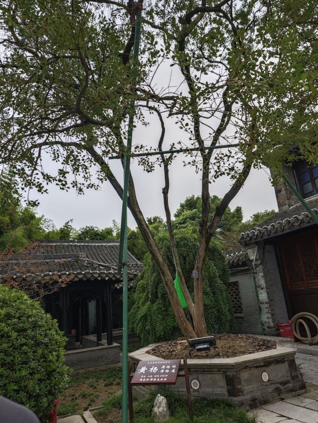 口岸雕花楼景区旅行图片 3