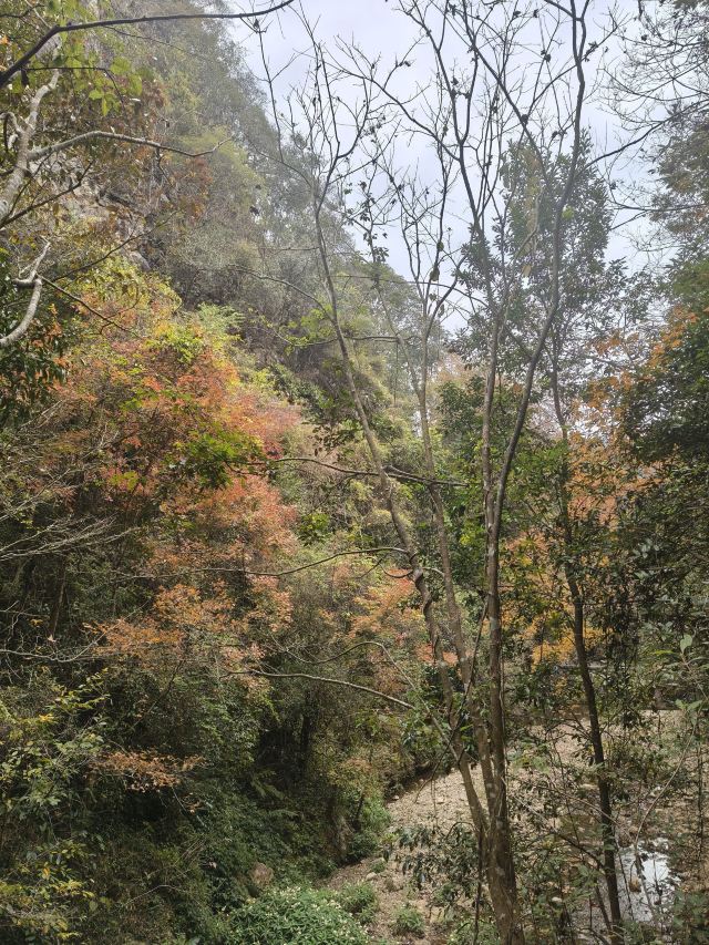 龙王潭生态旅游区旅行图片 3