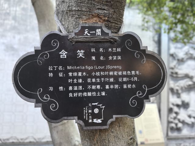 天一阁·月湖旅行图片 3
