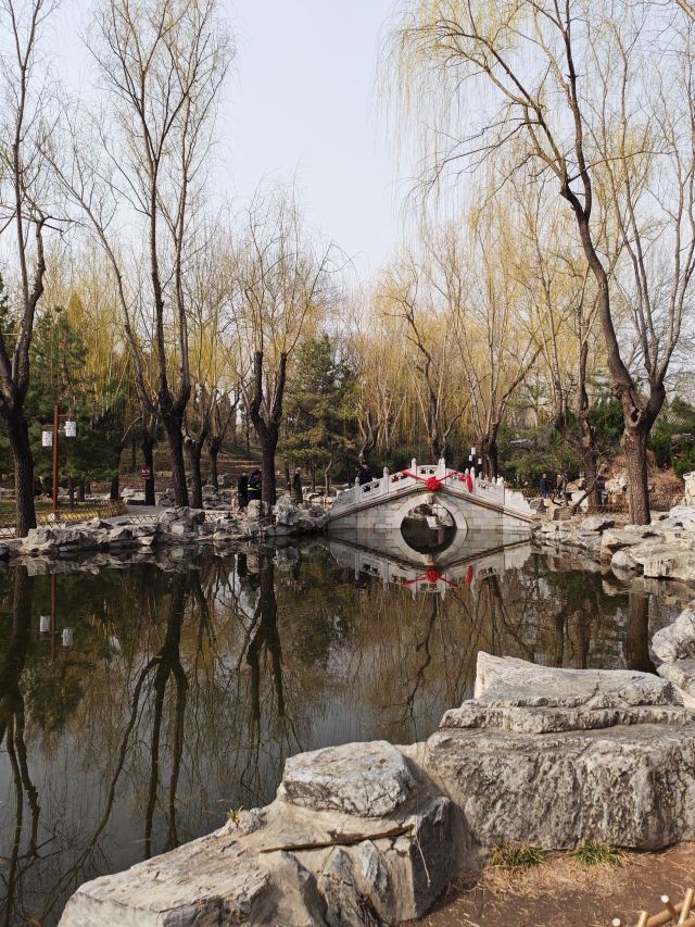 大观园旅行图片 4