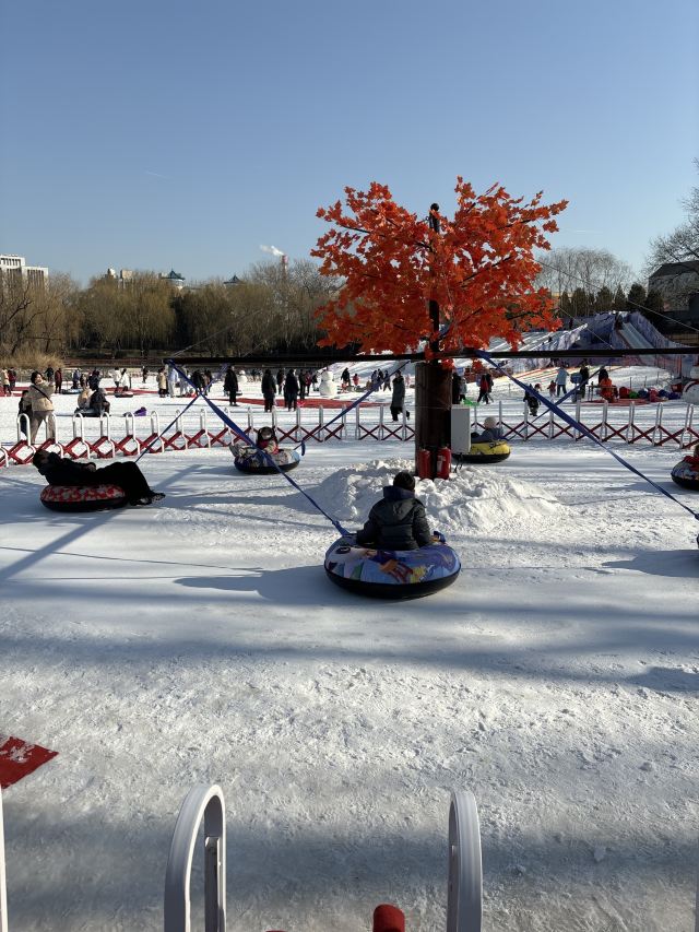 柳荫公园旅行图片 1