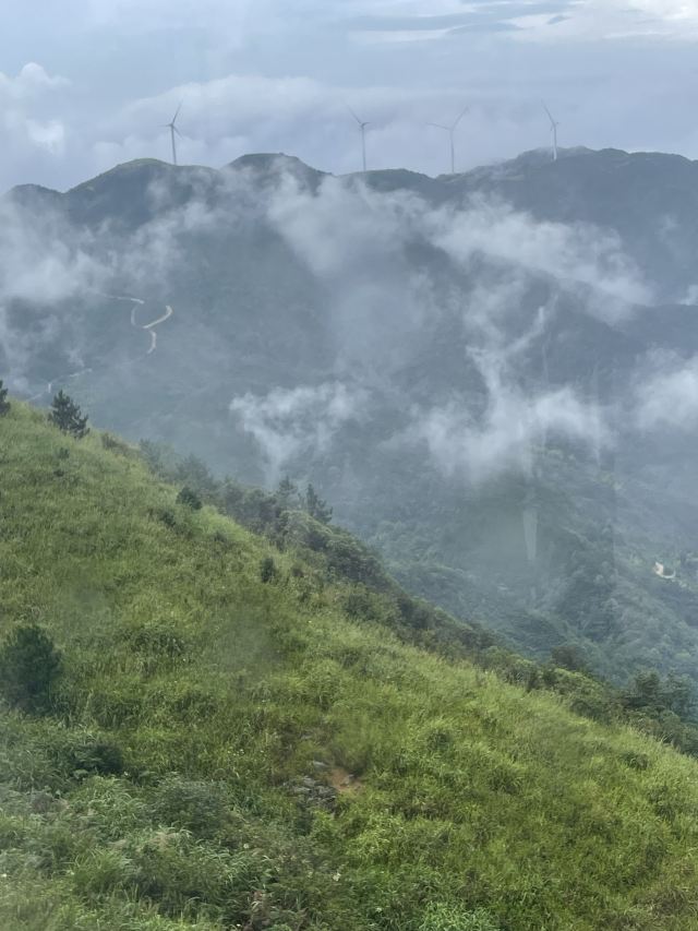 万洋山景区旅行图片 9