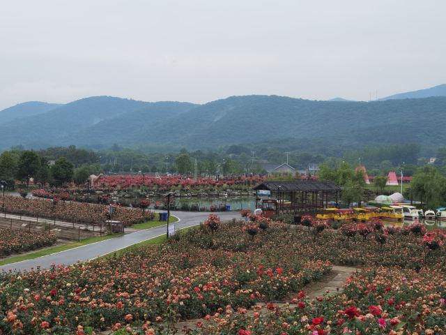 圣境花谷旅行图片 2