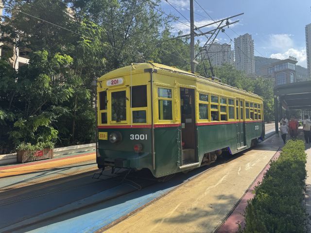 201路百年文旅专列旅行图片 2