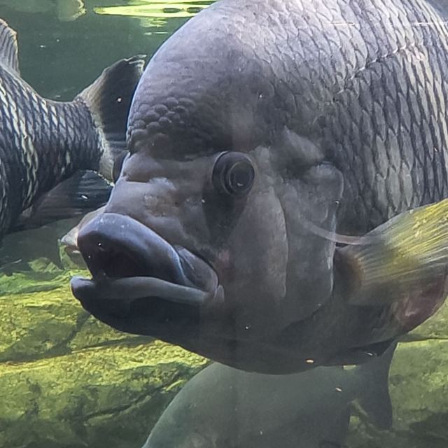 昆明海趣花都海洋世界旅行图片 7