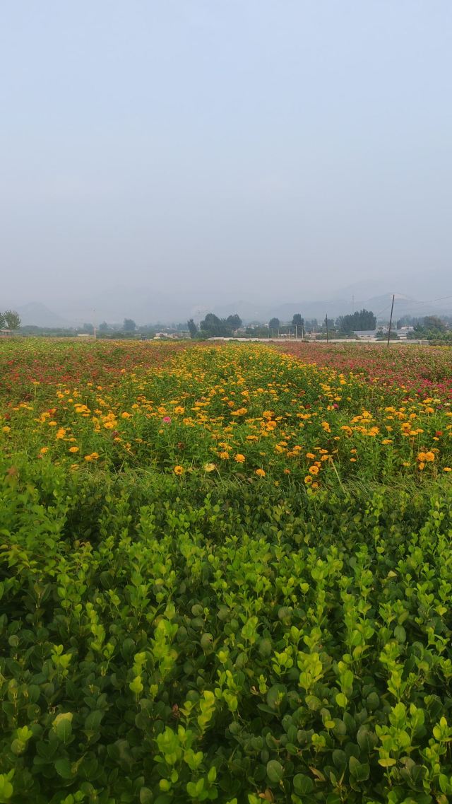左右山谷亲子度假区(暂停开放)旅行图片 1