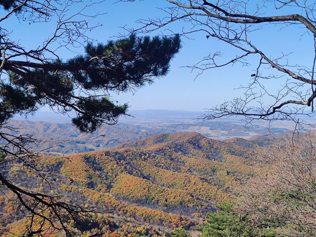 鸡冠山国家森林公园旅行图片 3