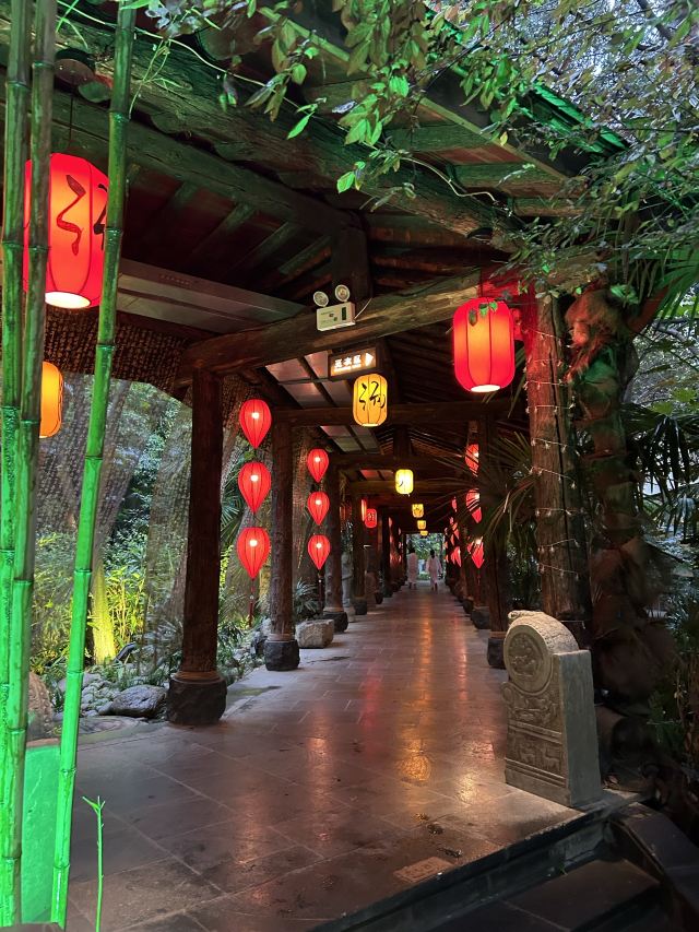 长安先导国际创新人才交流中心·药浴温泉旅行图片 2