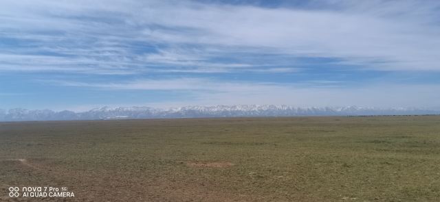 山丹皇家马场景区(暂停开放)旅行图片 2