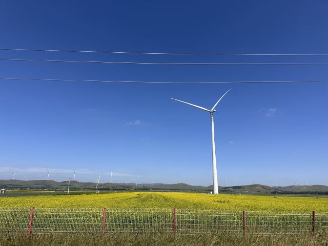 丰宁坝上草原旅行图片 2