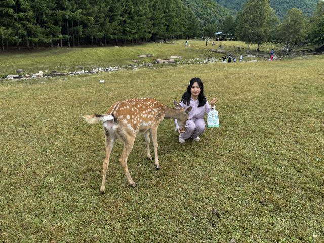 飞泷金山鹿苑旅行图片 3