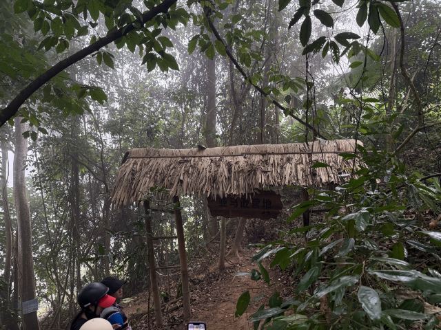 基诺山巴朵村雨林徒步旅行图片 3