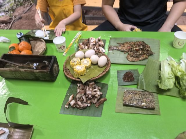 基诺山巴朵村雨林徒步旅行图片 5