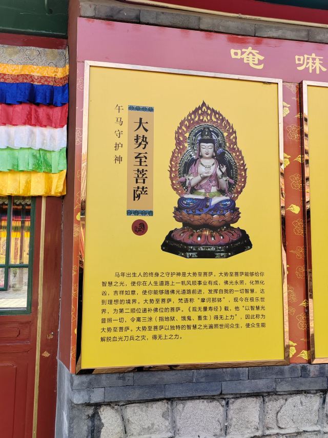 成山头国家重点风景名胜区旅行图片 2