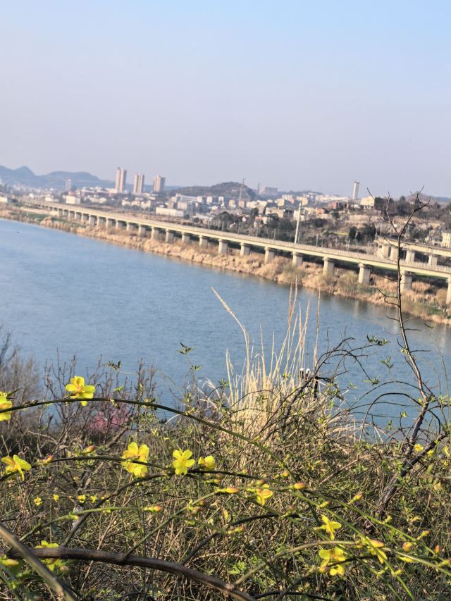 千佛崖旅行图片 3