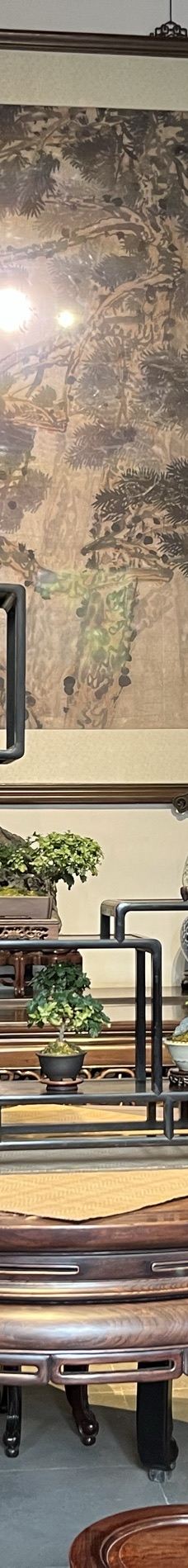 狮子林-苏州-YoYo_4P7V5I5H