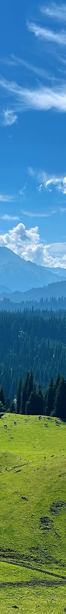 库尔德宁景区-巩留-YoYo_0Y0F6X5K