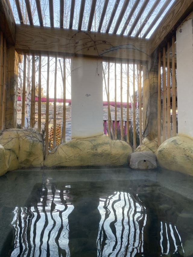 水师森林公园旅行图片 5